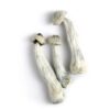 Buy Albino Magic Mushroom Online USA